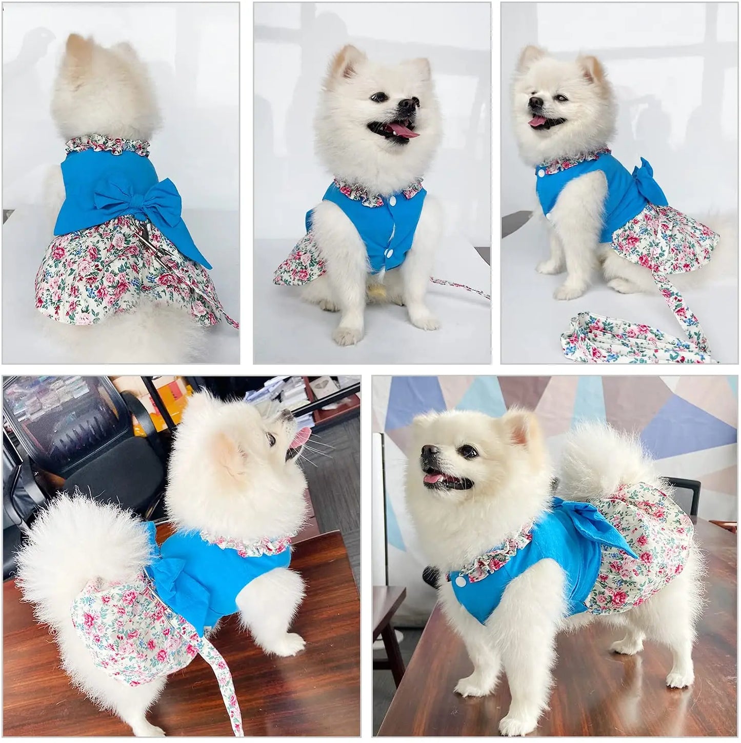 Pet Dog Dress Harness Puppy with Leash