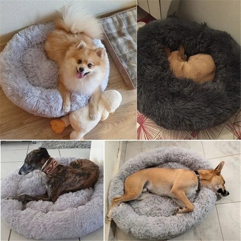 Donut  Dog Accessories for Dogs Cat's House Plush Pet Bed