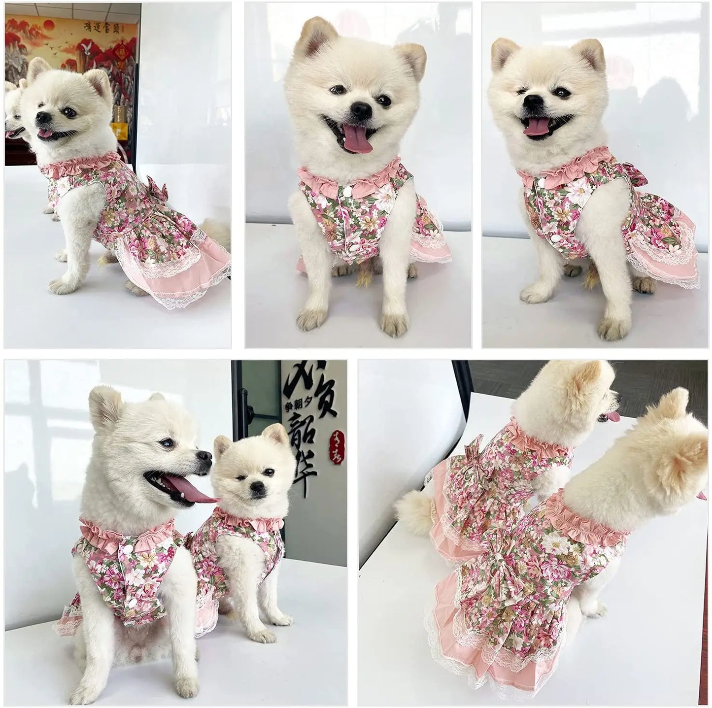 Pet Dog Dress Harness Puppy with Leash