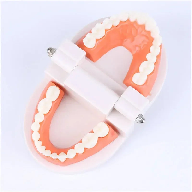 Montessori Educational Toys for Children Early Learning Kids Intelligence Brushing Tooth