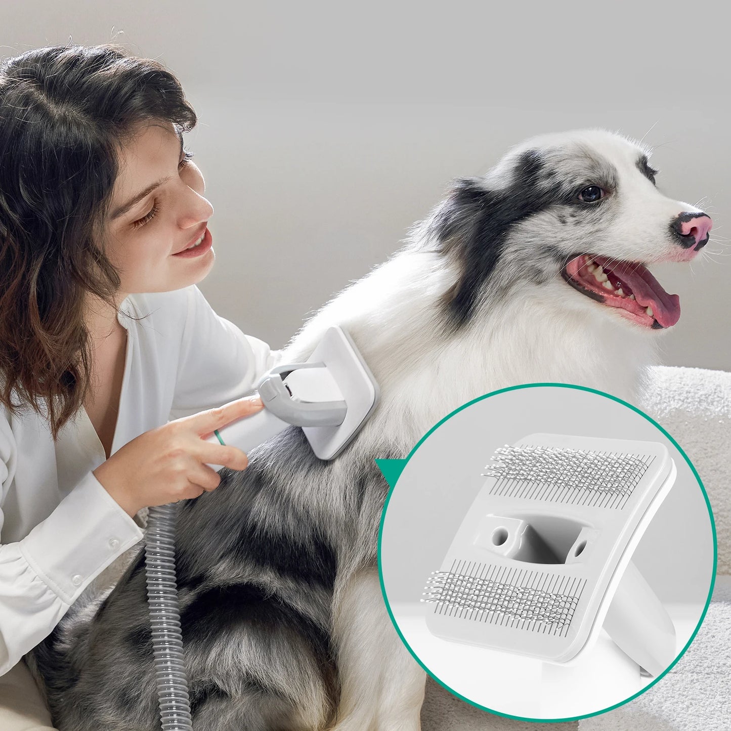 INSE Pet Grooming Vacuum, Dog Grooming