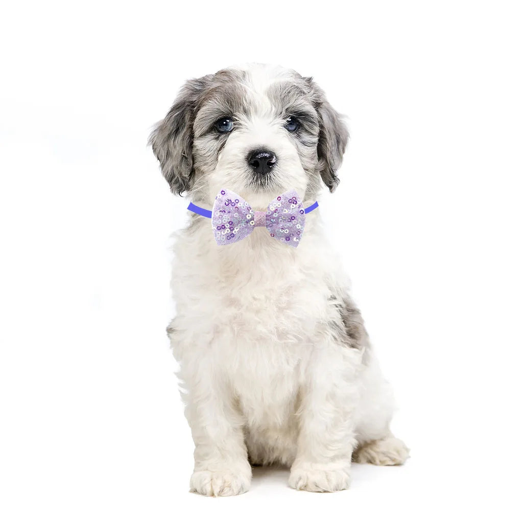 50/100pcs Pet Dog Cat Bow Ties