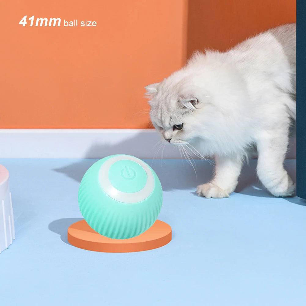 2 In 1 Simulated Cat Hunting Toy USB Charging Interactive