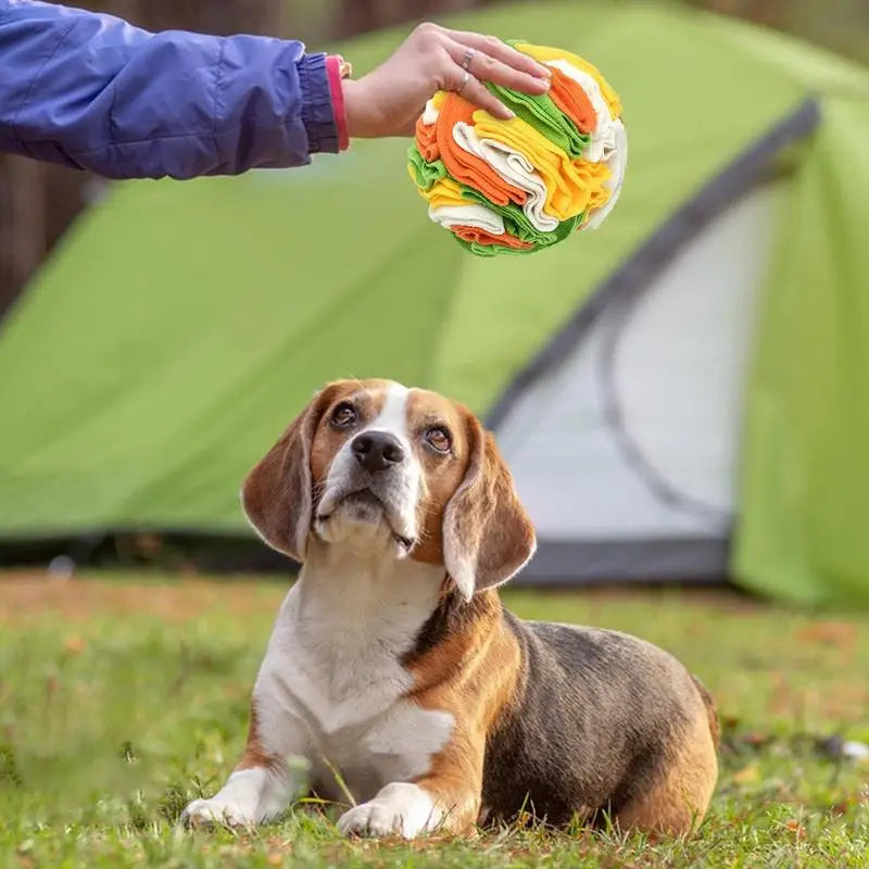 Sniff Mat For Dogs Pet Snuffle Ball