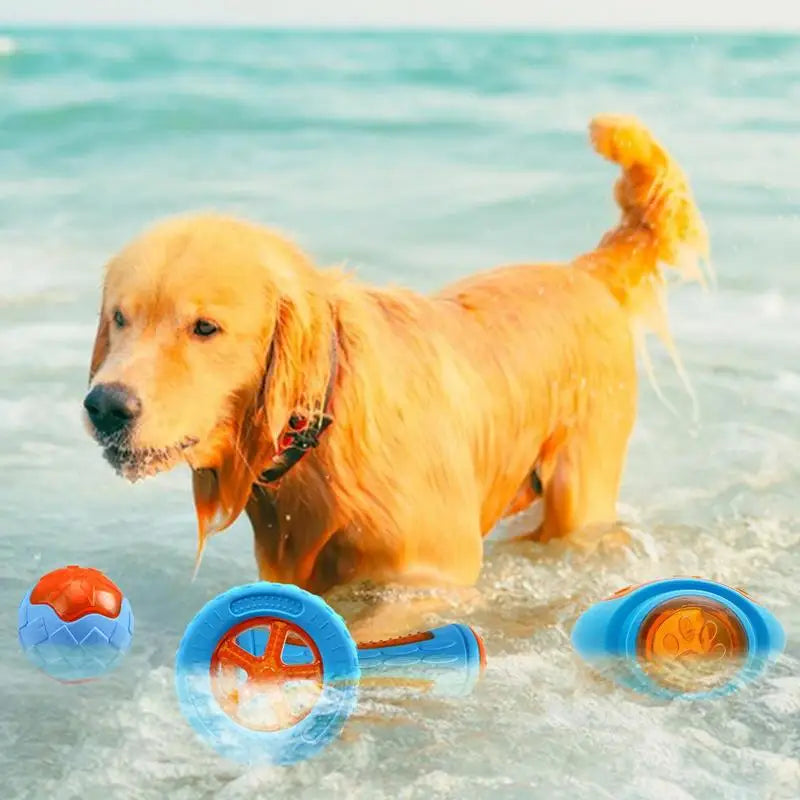 Dog Pool Floating Toys