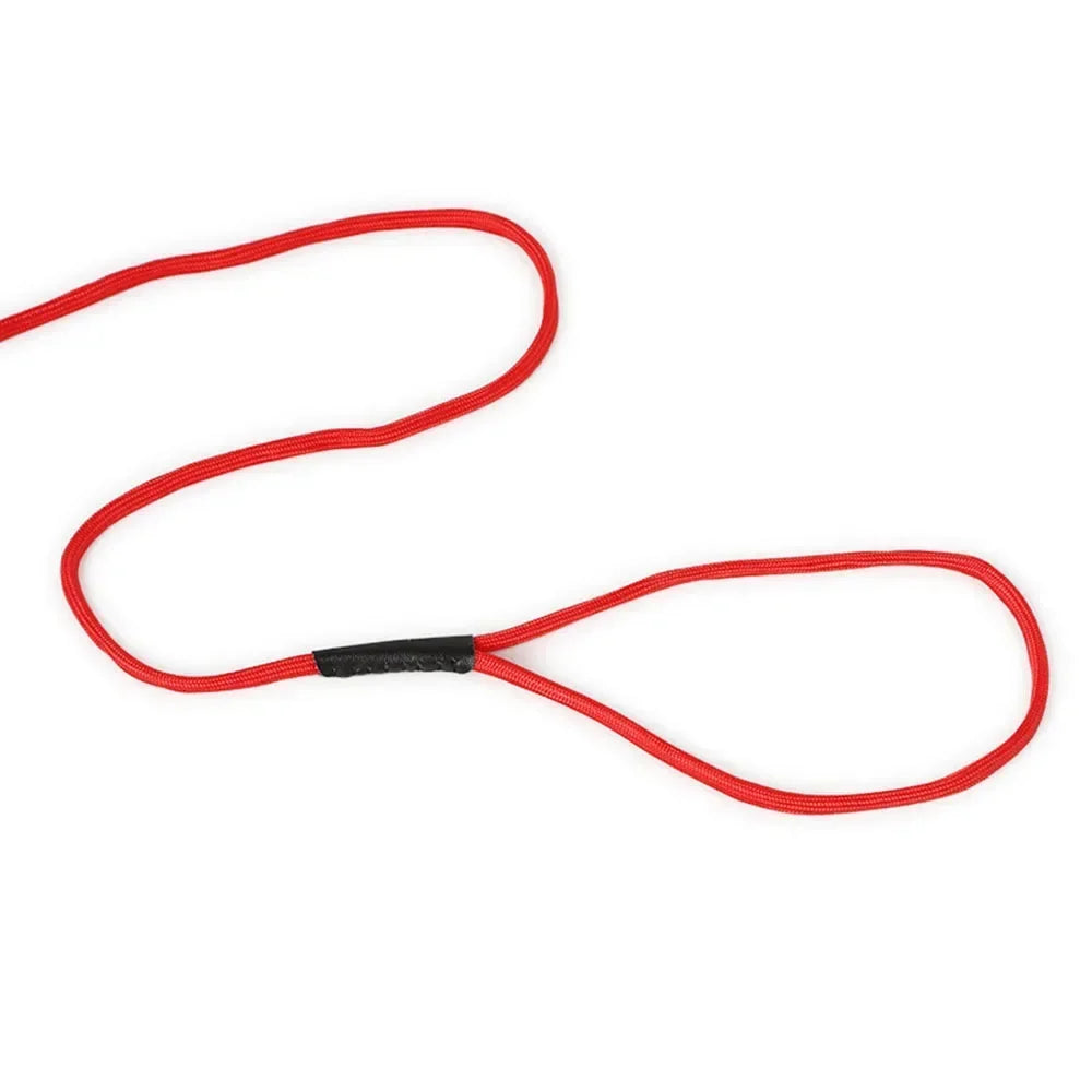 5mm*120cm Thin Dog Slip Lead Control Leash