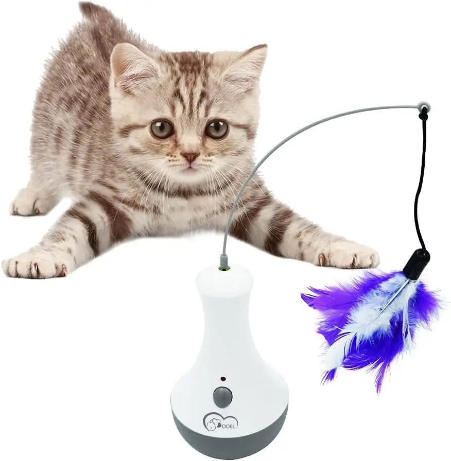 Cat Interactive Toys Funny Feather Kitten Teaser Indoor Play