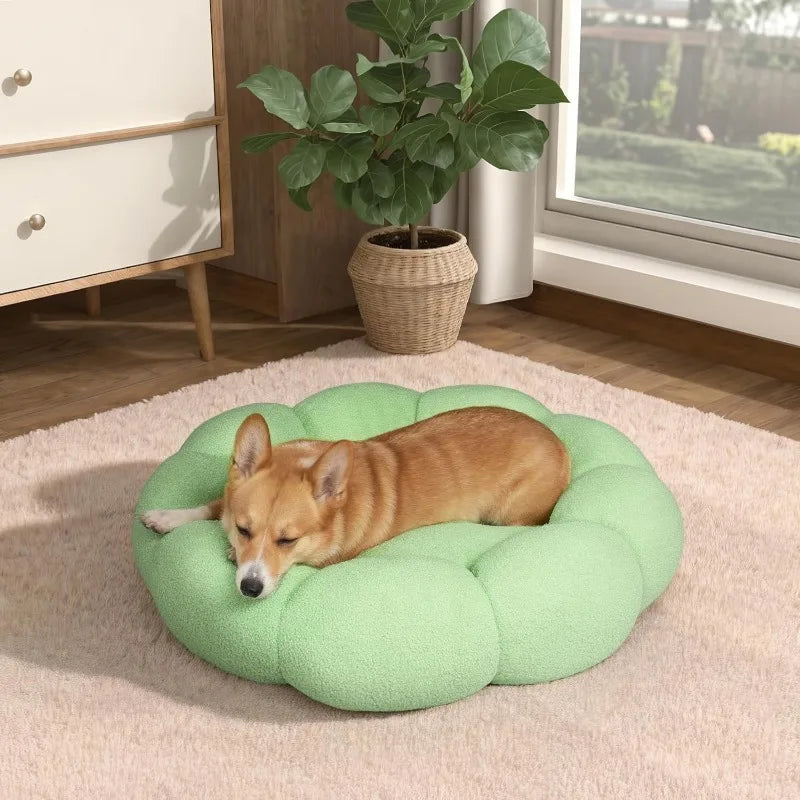 Calming Dog Beds for Medium Dogs-Fluffy Flower Cat&Dog Bed