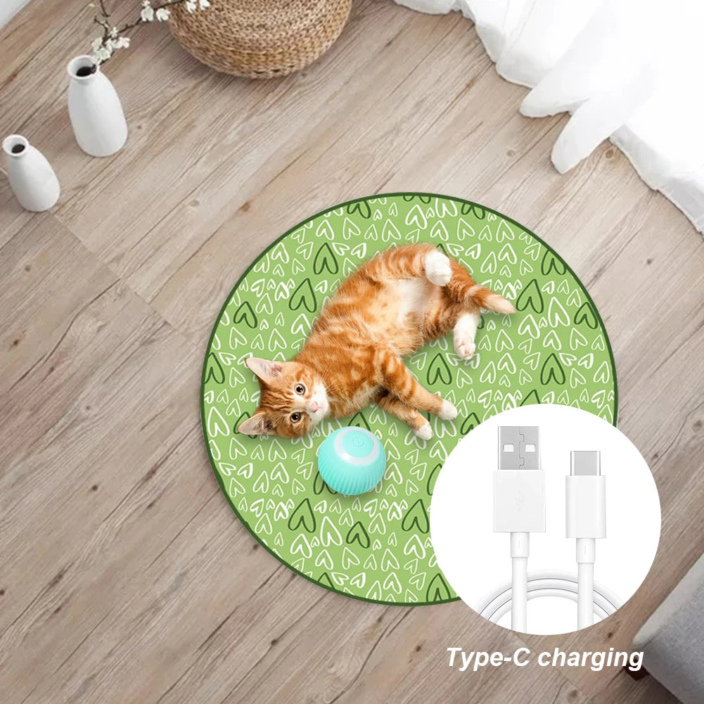 2 In 1 Simulated Cat Hunting Toy USB Charging Interactive