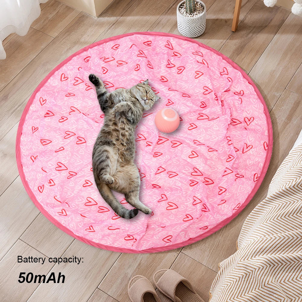 2 In 1 Simulated Cat Hunting Toy USB Charging Interactive