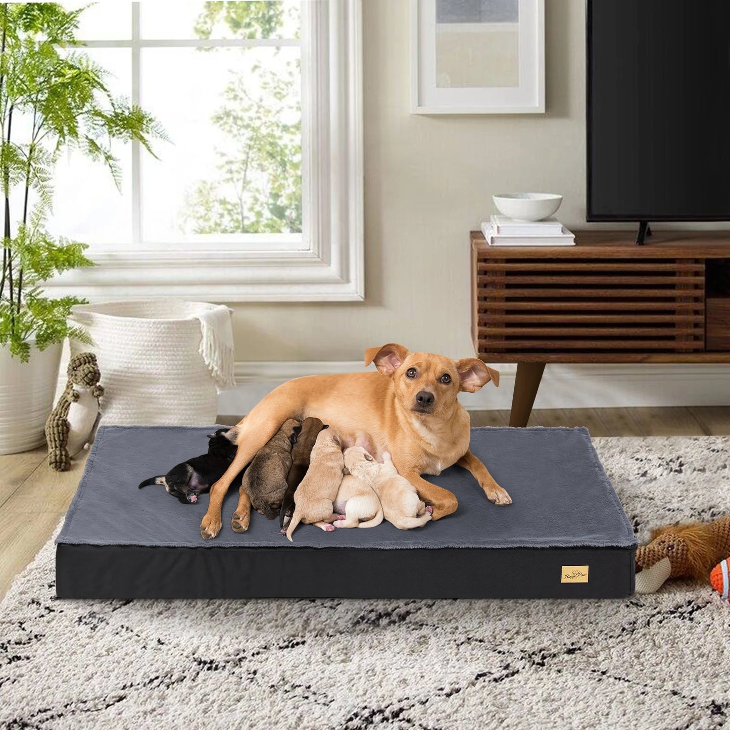 Dog Beds for Large Dogs, Orthopedic Dog Bed for Medium Large Dogs Waterproof Lining