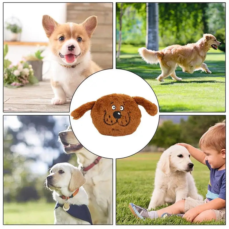 Plush Dogs Interactive Toys Soft Rubber Toys For Dog Pet Teeth Cleaning