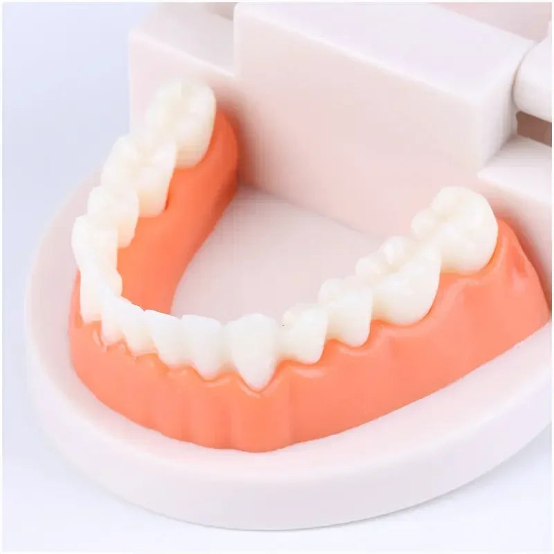 Montessori Educational Toys for Children Early Learning Kids Intelligence Brushing Tooth