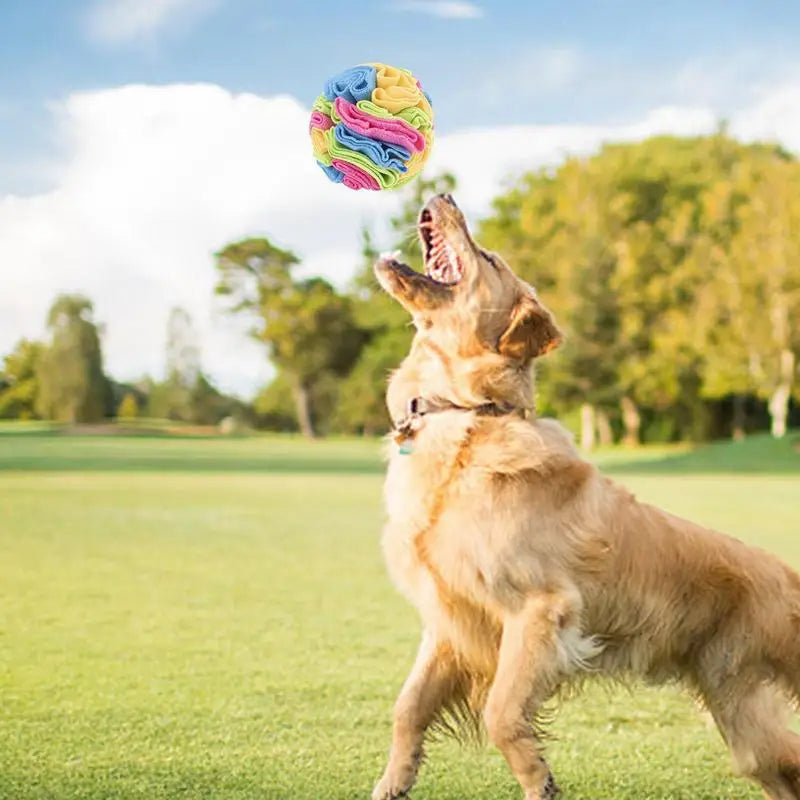 Sniff Mat For Dogs Pet Snuffle Ball