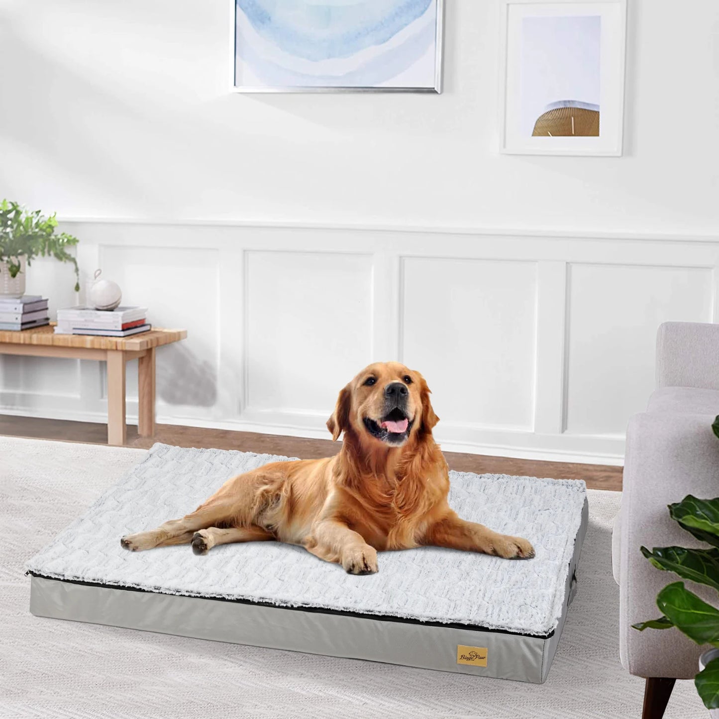 Dog Pet Sleeping Bed Waterproof Rectangle Sponge Foam