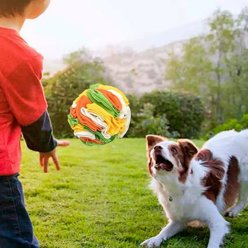 Sniff Mat For Dogs Pet Snuffle Ball