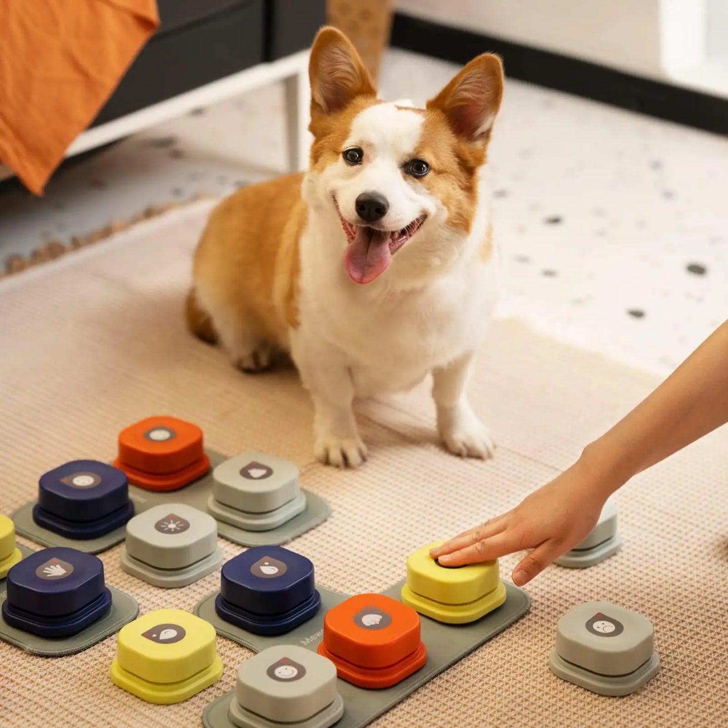 MEWOOFUN Dog Button Record Talking Pet Communication Vocal Training Interactive Toy