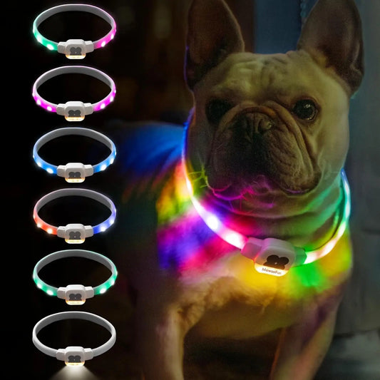 Mewoofun Light Up Dog Collar LED with USB Rechargeable Glow in The Dark Waterproof Dog Necklace