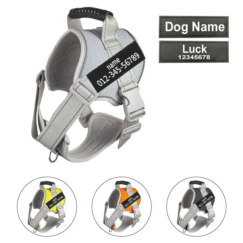 Customized Name Dog Harness