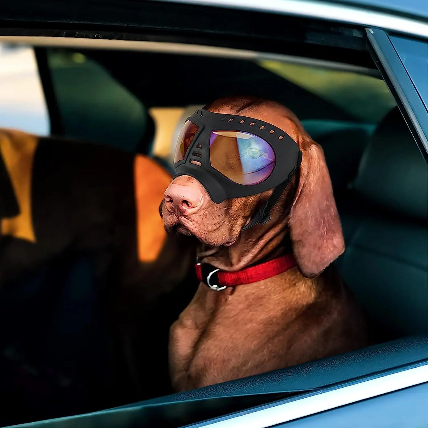 ATUBAN Dog Helmet and Sunglasses