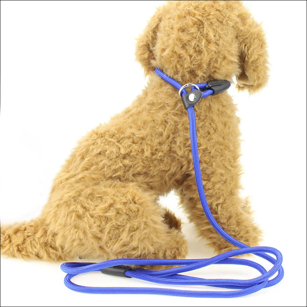 Dog Leash Slip Chains Collar