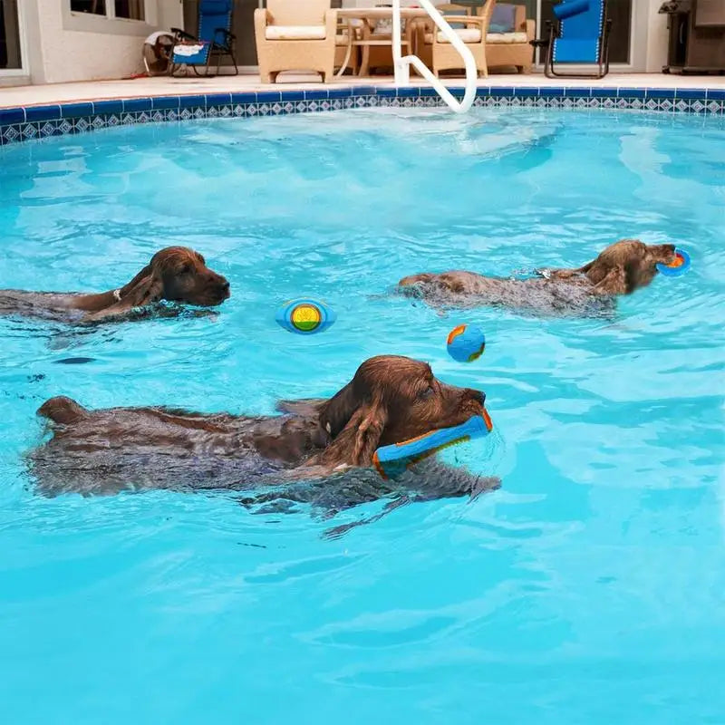 Dog Pool Floating Toys